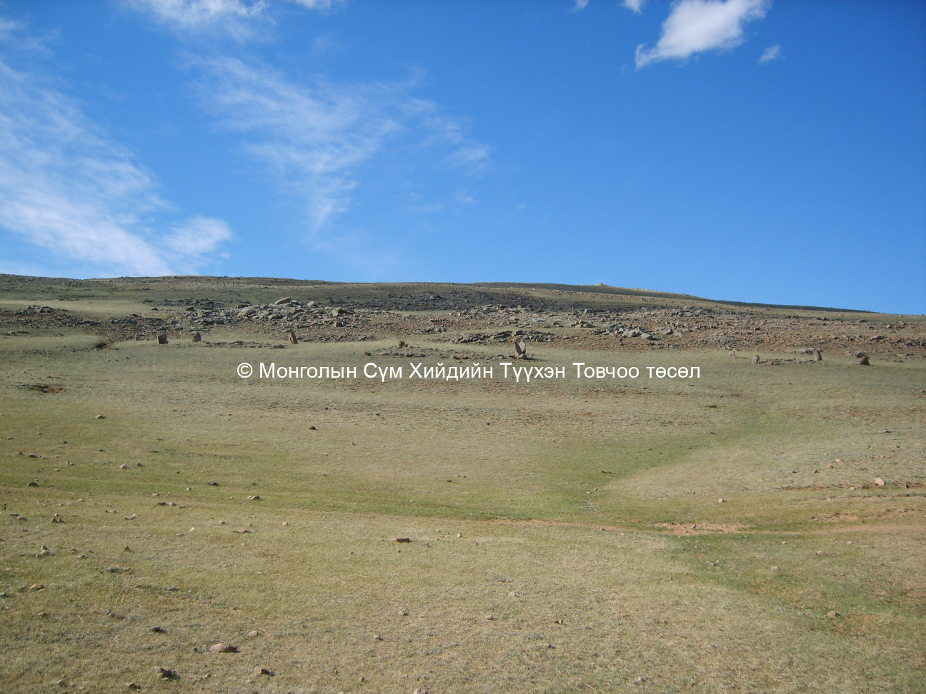 Дөрвөлжин булшнууд